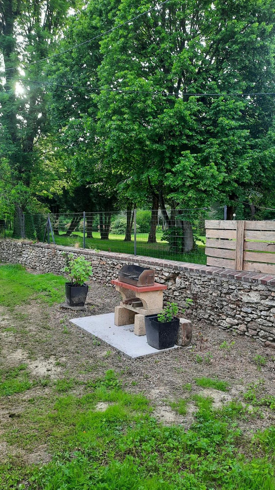 Gite Du Chateau De Chambonnieres Le Plessis-Feu-Aussoux Kültér fotó